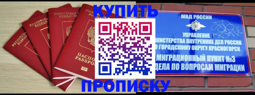 пропишу в квартире в Галиче